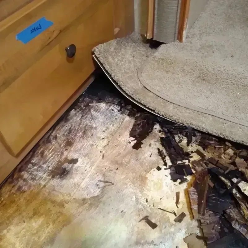 Wood Floor Water Damage in Columbine, CO